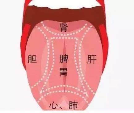 珍贵的舌诊图谱