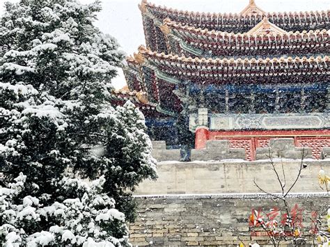 北京初雪为啥就这么大？今年冬天会很冷吗？专家答疑来了_北京日报网