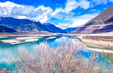 五一 西藏经典 林芝巴松措 雅鲁南迦巴瓦 米堆波密然乌湖羊湖（8日行程） - 8264活动平台