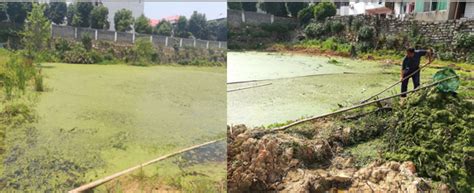 做好歇塘时期的池塘修复工作，是水产养殖户迎接丰收一造的基础_淡水养殖（水产养殖百科）_水产养殖网