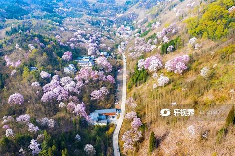 2024吴家山国家森林公园游玩攻略,这是我见过最美丽风景的大好...【去哪儿攻略】