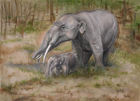 世界上最早的长鼻象，轭齿象（生存到人类历史早期）_探秘志