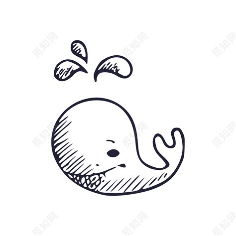 手绘鲸鱼简笔画图片