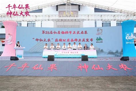 第25届仙居杨梅节开幕 “神仙大农”区域公用品牌正式发布-台州频道