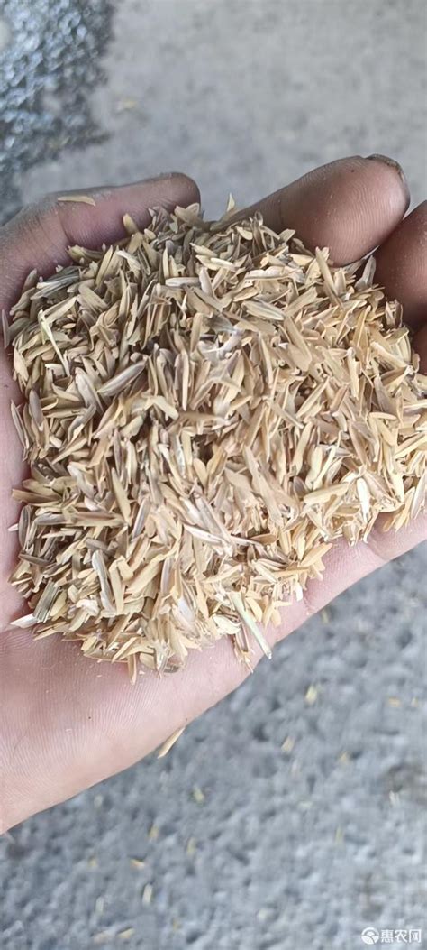 [谷壳稻谷壳批发]长期大量供应压缩谷壳，适应于养殖、种植、加工等价格550元/吨 - 惠农网