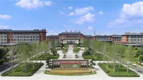 图片_山东省聊城市莘县十八里铺镇苏堂村