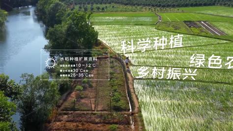 浅谈农业物联网现状及未来发展趋势 - 行业新闻 - 北京东方迈德科技有限公司