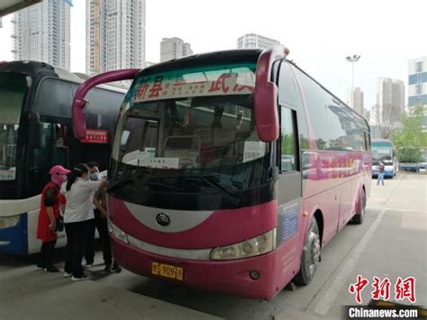 武汉开往省际长途客运班线恢复运营_手机新浪网