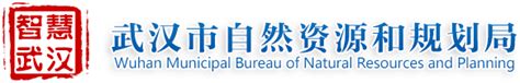 武汉市自然资源和规划局依申请公开服务提示-武汉市自然资源和规划局