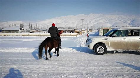 「丝路行旅」|新疆伊犁冬季雪景-那拉提_腾讯视频