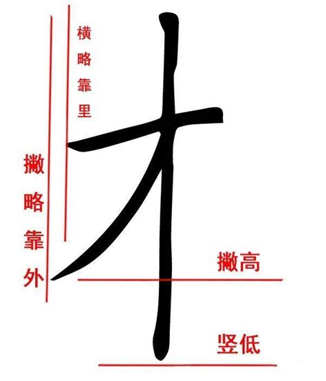 060期【全息书法】颜体楷书学习：“木”字旁的构成方式-北京洲洋华乐科技有限公司