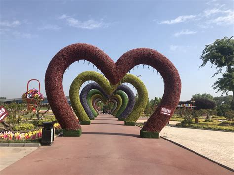2022鄢陵国家花木博览园游玩攻略,还有各种花，真的是超级美【去哪儿攻略】