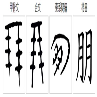 细说汉字“朋”，朋字的本义、朋字演变及起源 - 细说汉字 - 辞洋