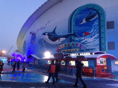 2024哈尔滨极地公园·海洋馆-旅游攻略-门票-地址-问答-游记点评，哈尔滨旅游旅游景点推荐-去哪儿攻略