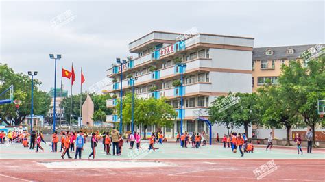 江门鹤山：沙坪街道第六小学荣获“广东省红领巾示范校”称号