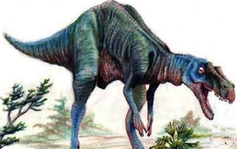 南十字龙：地球上最早的恐龙（长2米/距今2.25亿年前）_小狼观天下