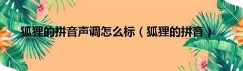 汉语拼音标准写法：单韵母i的写法