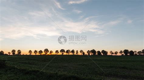 日落在一片有草的田野中高清图片下载-正版图片504356009-摄图网