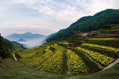 走进松阳，感受散落在乡村的“时光琥珀” - 丽水美丽城镇进行时 - 丽水在线-丽水本地视频新闻综合门户网站