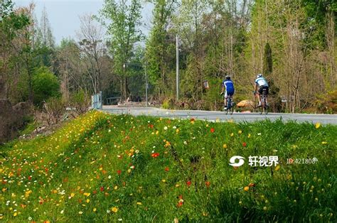 温江北林绿道 图片 | 轩视界