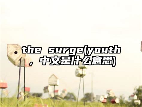 the surge(youth，中文是什么意思)_新游资讯_华辰手游