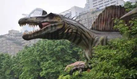 「如何复活一只恐龙」公益展览活动策划一秒就置身侏罗纪时代 - 会展活动策划CCASY.COM
