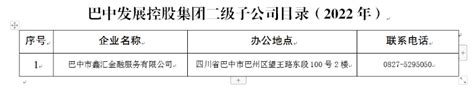 巴中发展控股集团二级子公司目录（2022年）_巴中市国有资产监督管理委员会