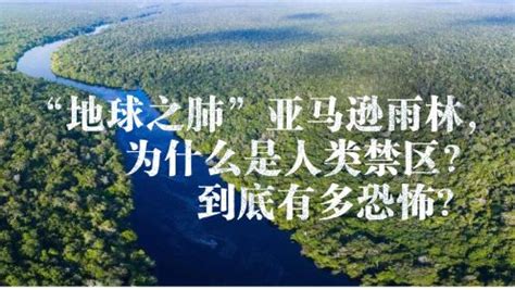 “地球之肺”亚马逊雨林，为何成为人类禁区？里面到底有多恐怖？