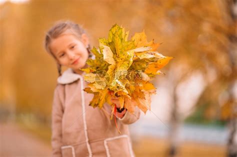 可爱的小女孩拿着秋叶花束高清图片下载-正版图片308010720-摄图网