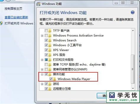 WIN10专业版优化Windows Media Player12的技巧--系统之家