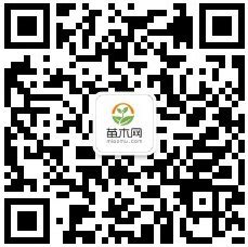 美植袋 - 产品展示 - 中国苗木信息网