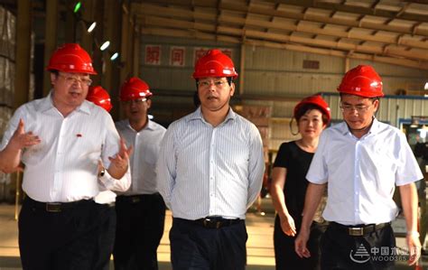 玉林市委书记莫恭明到博白林场调研-中国木业网