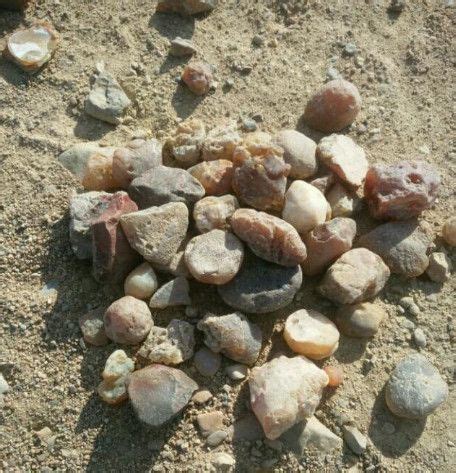 挑战挖掘“紫水晶”！捡到的石块里有宝石，到底能挖到什么