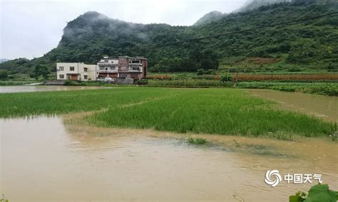 忻城县大暴雨局部受灾-广西高清图片-中国天气网