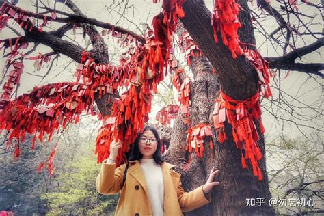 烟花三月下扬州|摄影|风光|Civilzs - 原创作品 - 站酷 (ZCOOL)