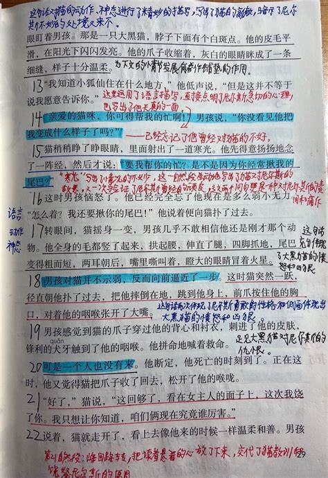 2023小学数学新课标学习手册