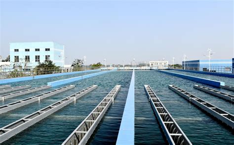 鹤山市第三水厂正式投产！助力提升用水营商环境