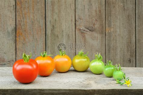 番茄是蔬菜还是水果 不同颜色番茄营养有何区别 _八宝网