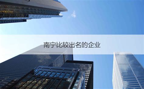 南宁市上市公司排名-八菱科技上榜(高科技型企业)-排行榜123网