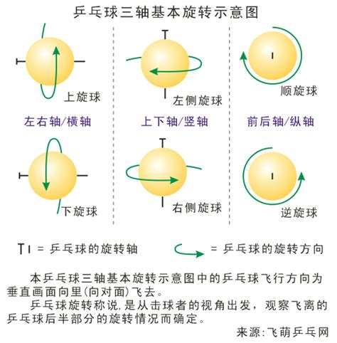 乒乓球的旋转及其解析_重庆乒乓球培训陪练私教（网上）中心_飞萌乒乓网