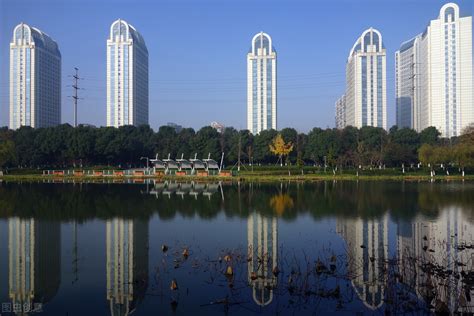 宁波杭州湾新区建这么多房子，真的是单单满足购房需求吗？_房产资讯_房天下
