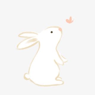 小白兔的图片