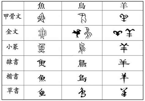 汉字的演变史，就是人类审美艺术的发展史 - 知乎