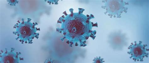 天津日报：天大新型冠状病毒 基因组注释数据库上线-天津大学新闻网