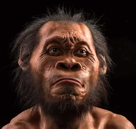 第一个人类是谁(300万年前，第一个人类身份确定！问题是，他的父母是人类吗？) | 人物集