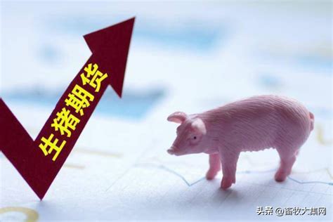 四川猪价上涨 原因何在-期货频道-和讯网