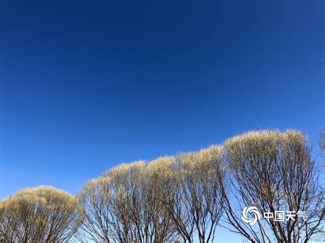 北京植物园碧空如洗 颜值爆表-天气图集-中国天气网