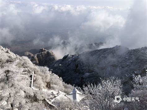 雪后泰山雾凇与云海交相辉映 宛如仙境-图片频道-中国天气网