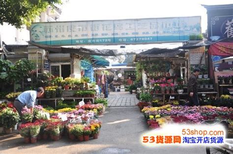 武汉花鸟市场|亲身体验，奉上这篇最全逛花市指南！_绿色林林7_新浪博客