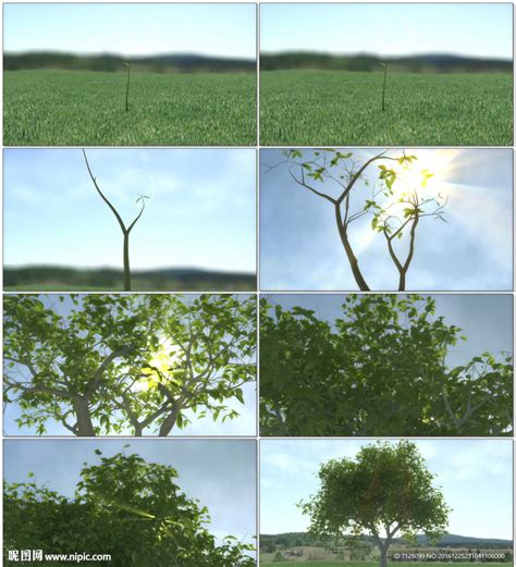 植树节种树小清新风格插画图片-千库网